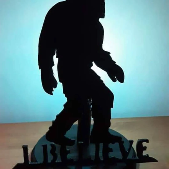 Sasquatch light