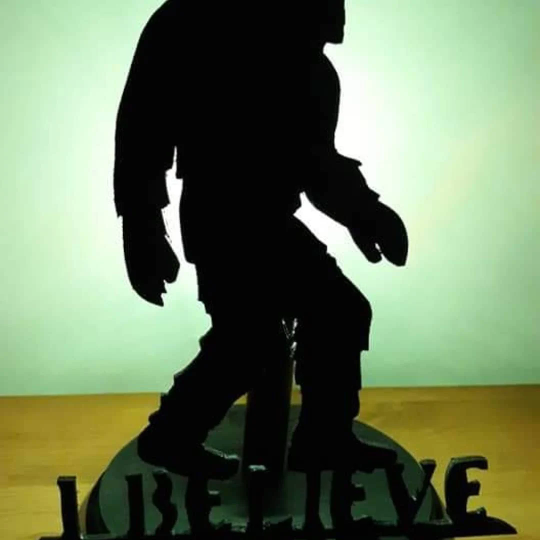 Sasquatch light