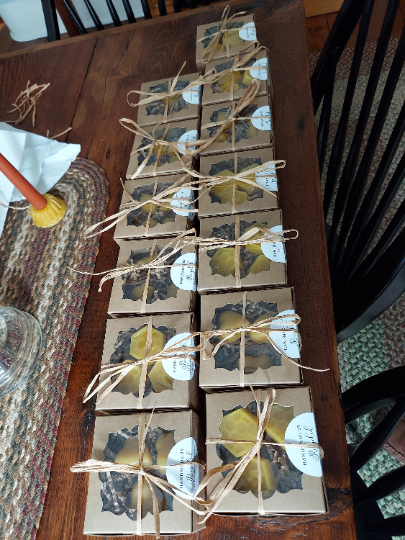 Natural Beeswax Melts
