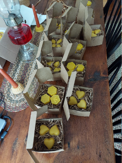 Natural Beeswax Melts
