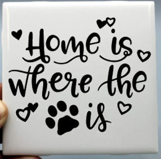 Dog Coasters