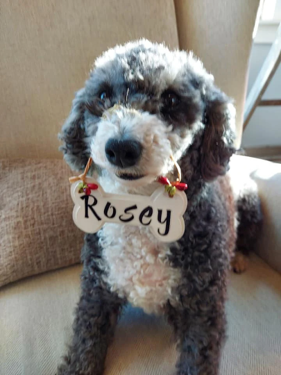 Pet Dog Ornaments