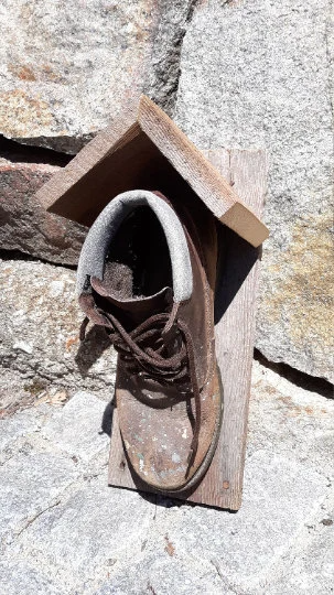 Rustic Bird House